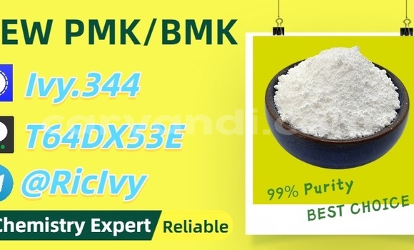 Buy Used Byvin BD326J (Moca) Other Car in Limulunga in Western
