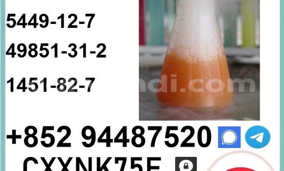 Medium with watermark p13