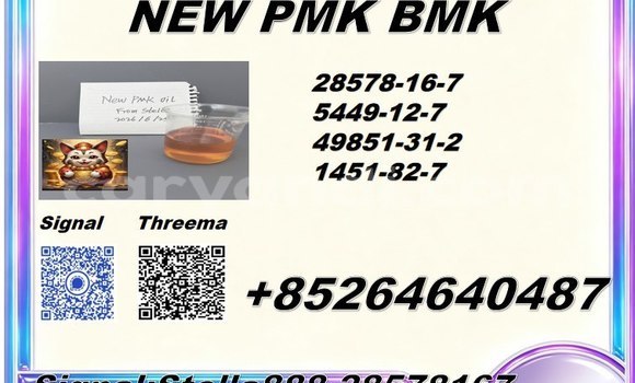 Buy 5449-12-7 bmk in Choma in Southern Buy 5449-12-7 bmk in Choma in Southern