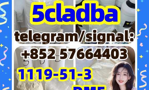 Medium with watermark 53