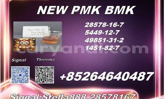 Medium with watermark photo 6289560755946328919 x 1 
