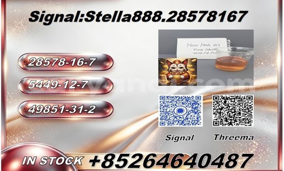 Medium with watermark photo 6289560755946328933 x 1 