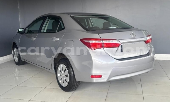 Tenga Tsaru Toyota Corolla Sirivha Mota in Chilanga in Lusaka Tenga Tsaru Toyota Corolla Sirivha Mota in Chilanga in Lusaka
