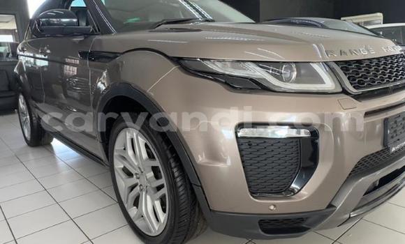 Buy Used Land Rover Range Rover Evoque Brown Car in Chipata in Zambia