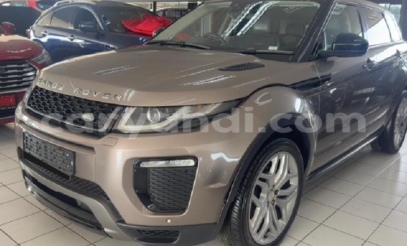 Buy Used Land Rover Range Rover Evoque Brown Car in Chipata in Zambia Buy Used Land Rover Range Rover Evoque Brown Car in Chipata in Zambia