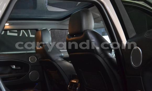 Buy Used Land Rover Range Rover Evoque Brown Car in Chipata in Zambia Buy Used Land Rover Range Rover Evoque Brown Car in Chipata in Zambia