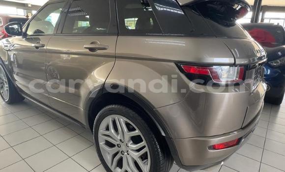 Buy Used Land Rover Range Rover Evoque Brown Car in Chipata in Zambia Buy Used Land Rover Range Rover Evoque Brown Car in Chipata in Zambia