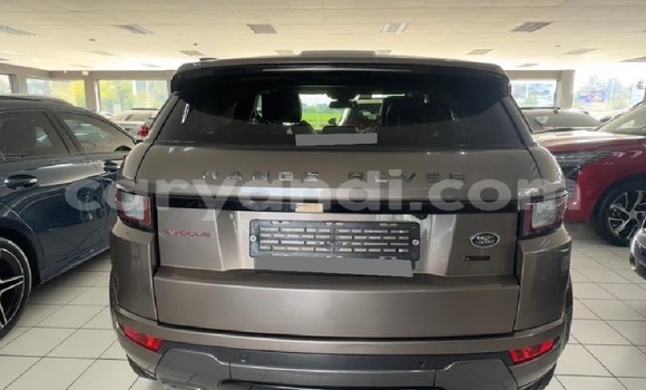 Buy Used Land Rover Range Rover Evoque Brown Car in Chipata in Zambia Buy Used Land Rover Range Rover Evoque Brown Car in Chipata in Zambia