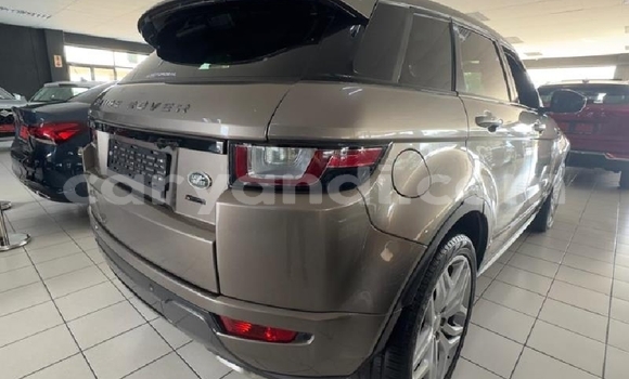 Buy Used Land Rover Range Rover Evoque Brown Car in Chipata in Zambia Buy Used Land Rover Range Rover Evoque Brown Car in Chipata in Zambia