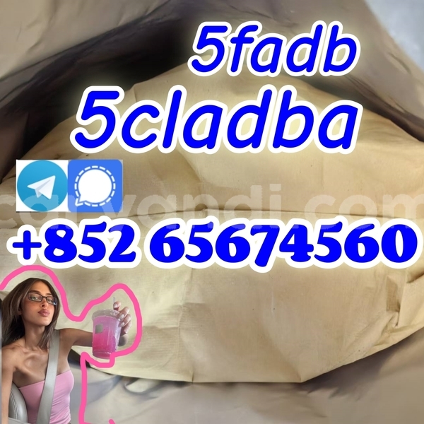 Big with watermark 66 %e5%89%af%e6%9c%acasfwrfgerg