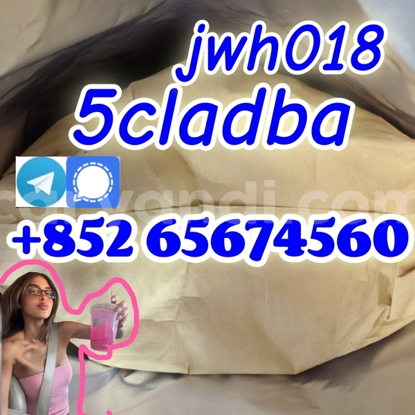 Big with watermark 66 %e5%89%af%e6%9c%acwegfwergwr