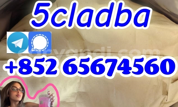 Buy Protonitazene in Chingola in Zambia Buy Protonitazene in Chingola in Zambia