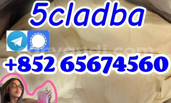 Buy Protonitazene in Chingola in Zambia Buy Protonitazene in Chingola in Zambia