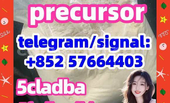 Medium with watermark 52