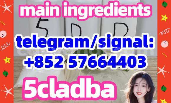 Medium with watermark 58