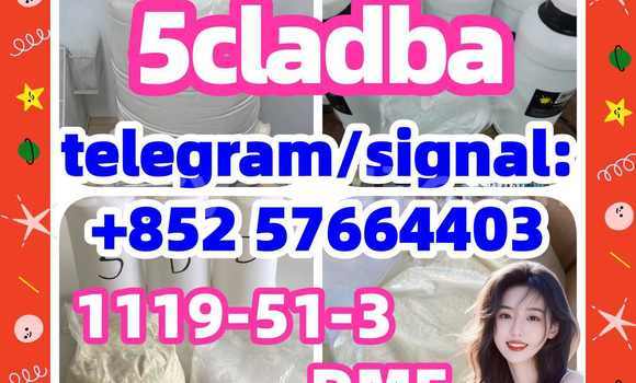 Medium with watermark 54