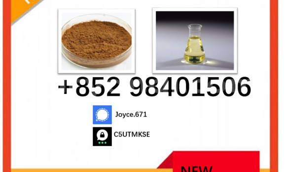 Medium with watermark 5449 125