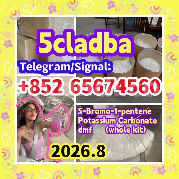 Big with watermark 5c %e5%89%af%e6%9c%ac