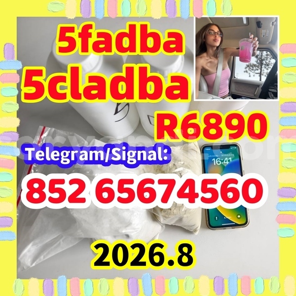 Big with watermark photo 2026 07 01 14 44 56 %e5%89%af%e6%9c%ac %e5%89%af%e6%9c%ac