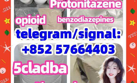 Medium with watermark z2