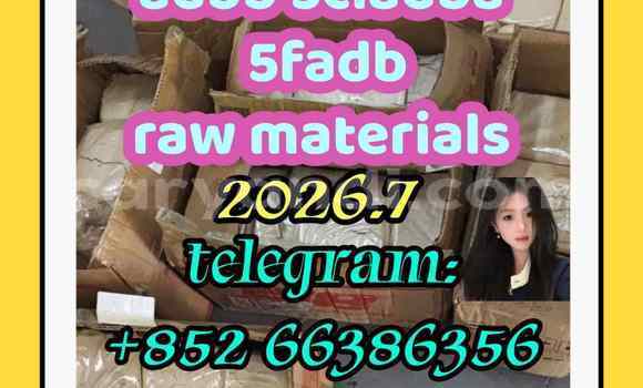 Medium with watermark 1