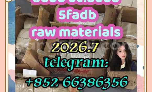 Medium with watermark 2