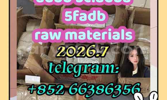 Medium with watermark 3