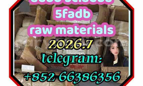 Medium with watermark 4