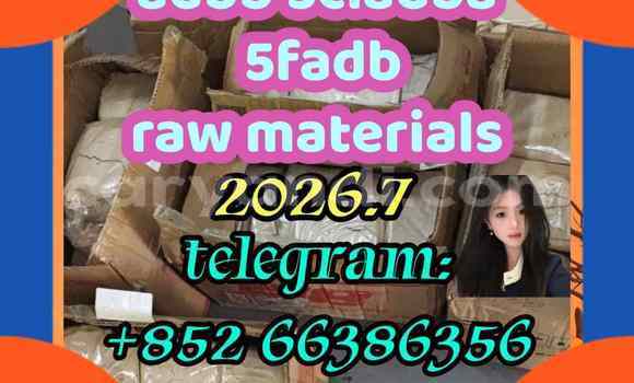 Medium with watermark 5