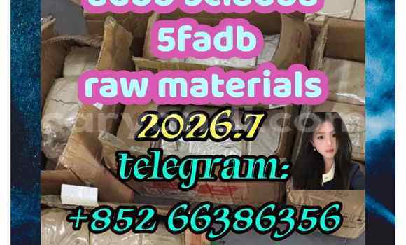 Medium with watermark 6