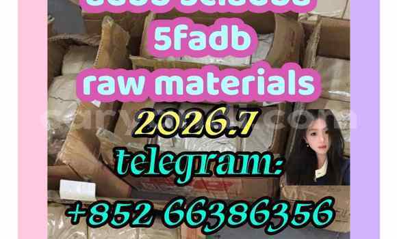 Medium with watermark 7