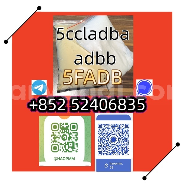 Big with watermark 1