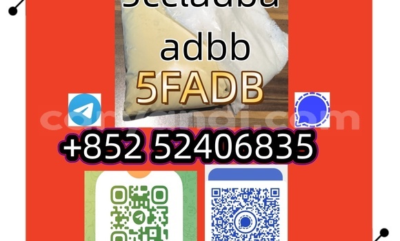 Medium with watermark 1