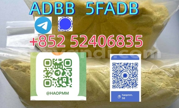 Medium with watermark 2