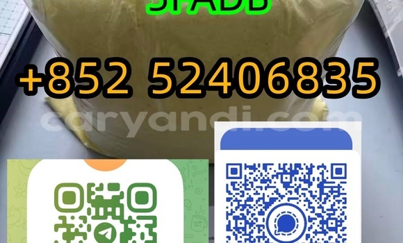 Medium with watermark 4