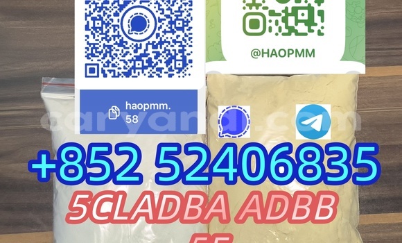 Medium with watermark 6
