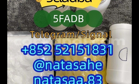Medium with watermark 8