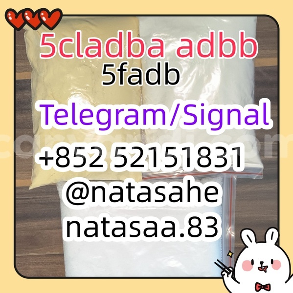 Big with watermark 9