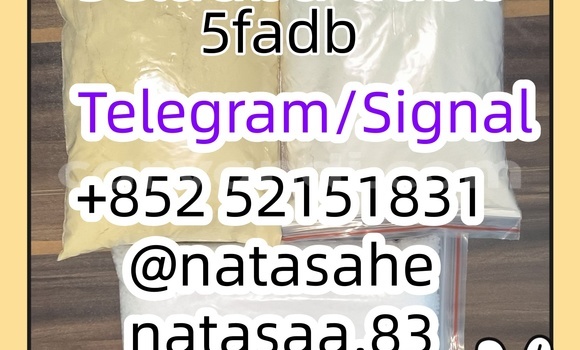 Medium with watermark 9