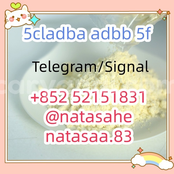 Big with watermark h37ebf8de93e44671aaabaa427d08df82x %e5%89%af%e6%9c%ac