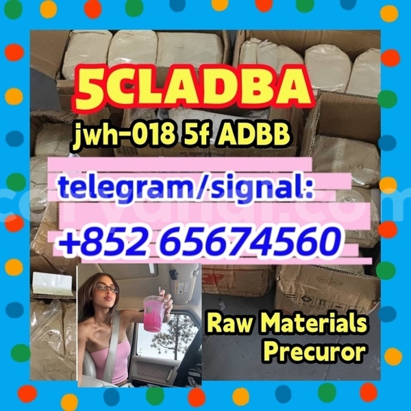 Big with watermark 5cl%e6%9c%80%e6%96%b0