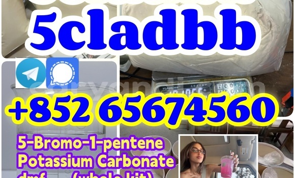 Medium with watermark %e6%9c%aa%e5%91%bd%e5%90%8d