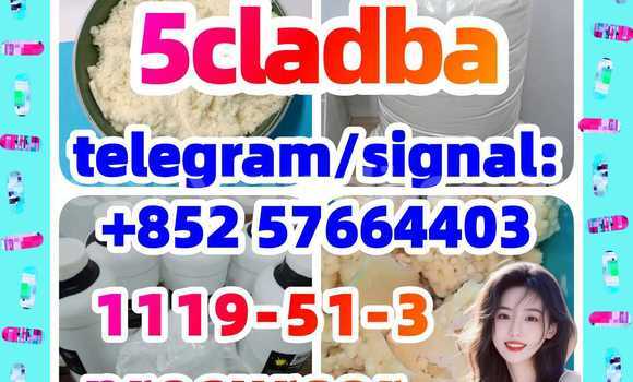 Medium with watermark 56