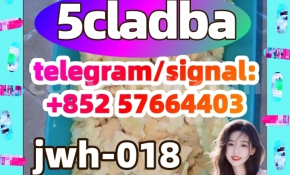 Medium with watermark 53