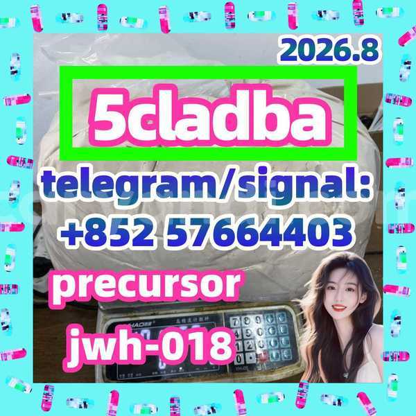Big with watermark 510