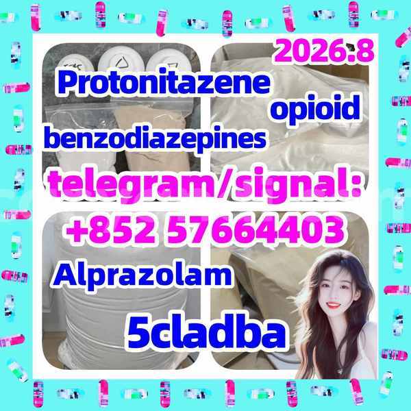 Big with watermark z2