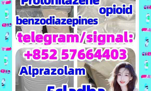 Medium with watermark z2