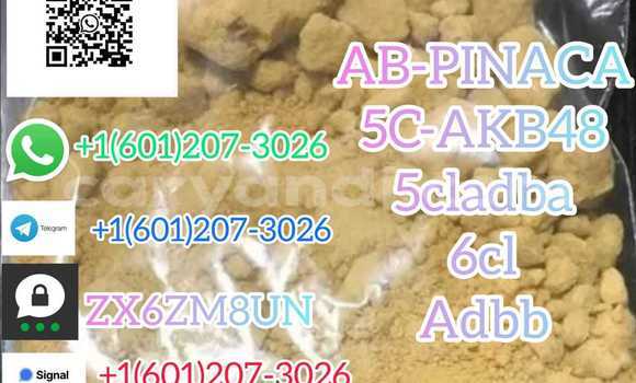 Medium with watermark killdj45