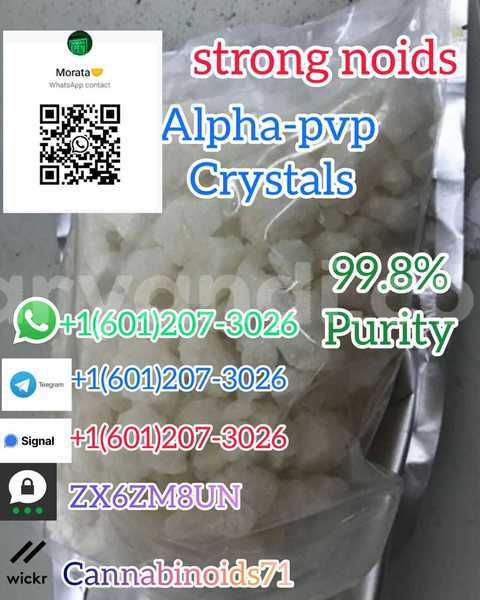 Big with watermark whatsapp image 2023 06 12 at 01.42.13