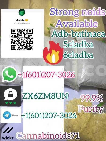 Big with watermark whatsapp image 2023 06 12 at 01.42.11 3